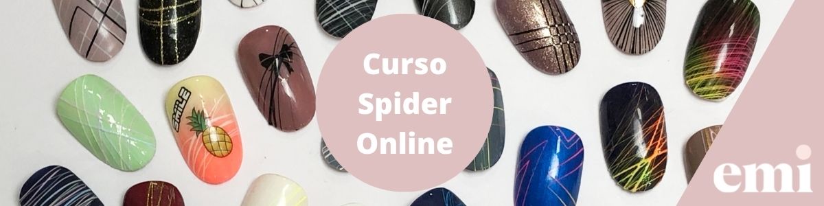 curso spider online loeva